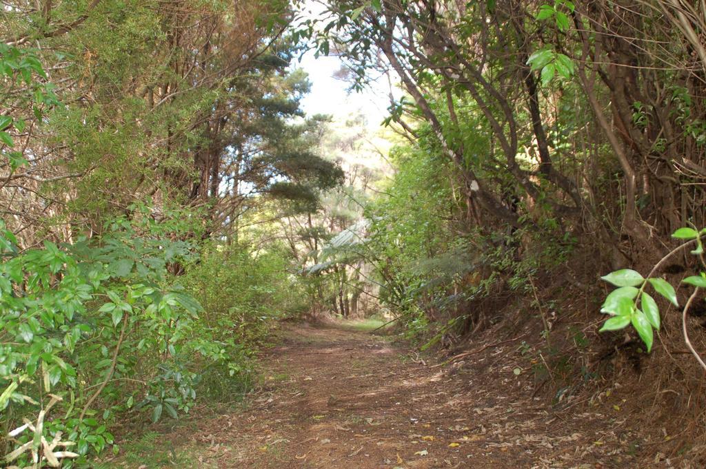 Kohinui Glade Holiday Cottage Parua Bay Bagian luar foto