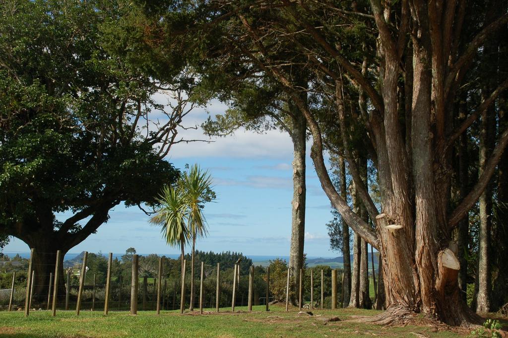 Kohinui Glade Holiday Cottage Parua Bay Bagian luar foto